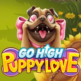 Go High Puppy Love – slot by RubyPlay, featured at betistaa.it